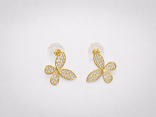 Papillon Pierce